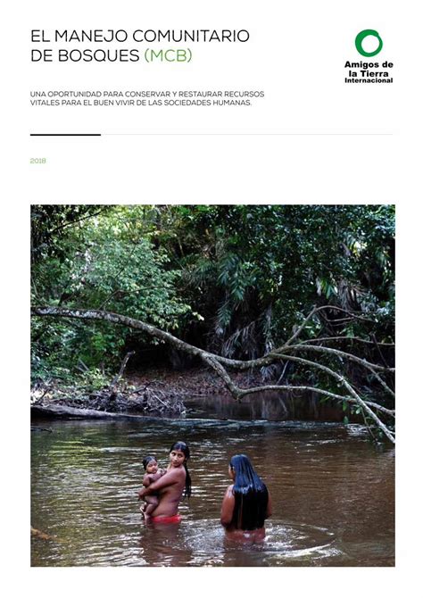 Pdf El Manejo Comunitario De Bosques Mcb Foei Org La Madera