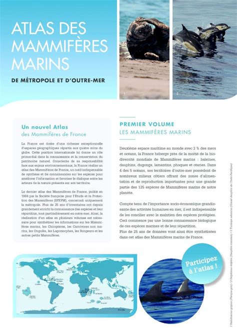 PDF atlas des MaMMiFères Marins INPN atlas des Mammifères de