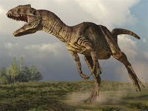 10 Facts about Allosaurus | Fact File