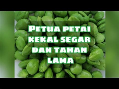 Petua Simpan Petai Kekal Segar Dan Tahan Lama Youtube