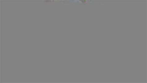 Amateur Bitch Sucking Cock