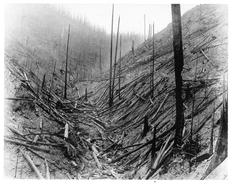 1910 Fires Forest History Society