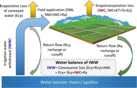 Schematic Diagram Of The Water Balance For Iww Download Scientific Diagram