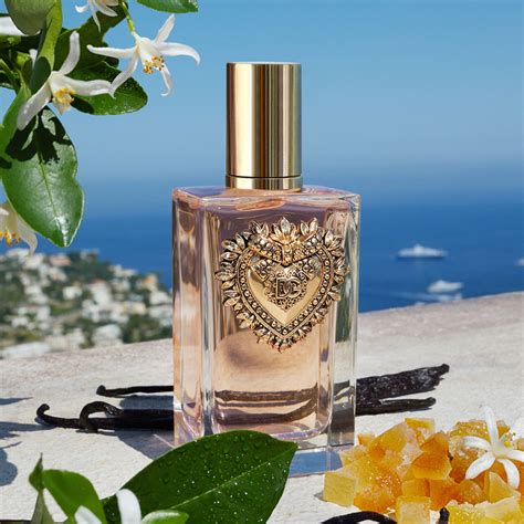 Devotion Perfume Edp Pre Os Online Dolce Gabbana Perfumes Club