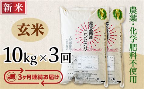 E1 16【3ヶ月連続お届け】新潟県長岡産コシヒカリ玄米10kg Tふるさと納税