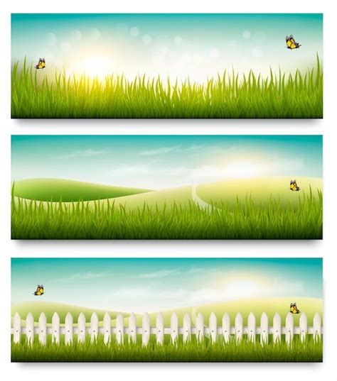 Banners De Verano De Naturaleza Con Hierba Verde Y Cielo Azul Vector