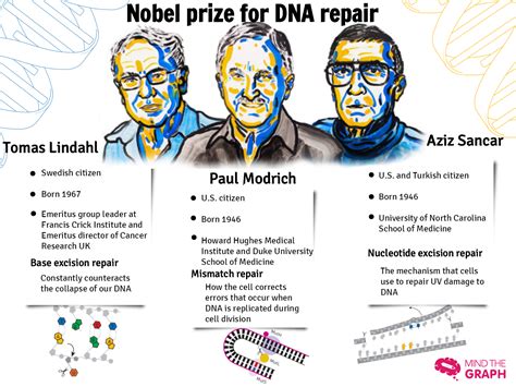 Nobel Prize in Chemistry 2015 [infographic] - Mind the Graph Blog