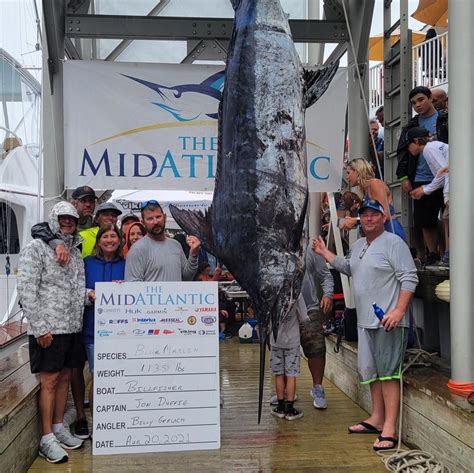 30th MidAtlantic Wraps Up With Potential State Record Blue Marlin