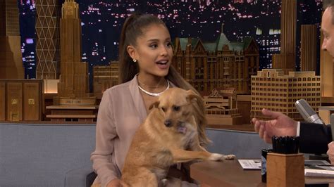 1604253025597arianagrandeshowsoffherwinkingdogtoul Petpetnews