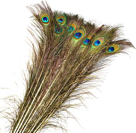 20 Pcs 90cm Réel Plumes de Paon Naturelles Plumes pour Décorations De