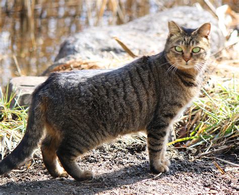 a12 | Fumio Shimizu | Flickr