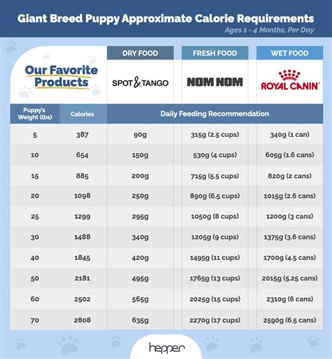 How Much Should You Feed A Great Dane Feeding Chart And Healthy Tips