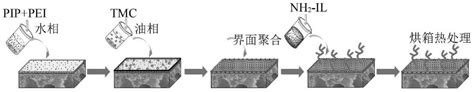 一种用于高效镁锂分离的纳滤膜制备方法及应用2