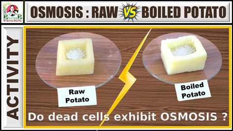 Osmosis Raw Vs Boiled Potato Experiment Class Science Chapter