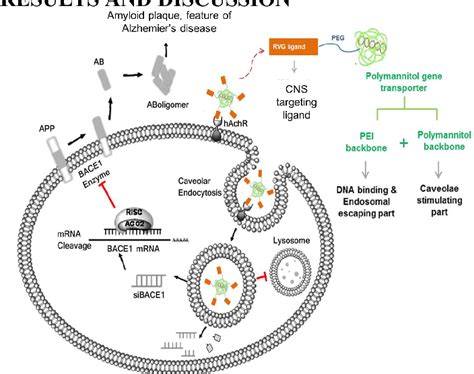 Figure 1 From TARGETING THE BRAIN NEURONAL CELLS WITH DEGRADABLE