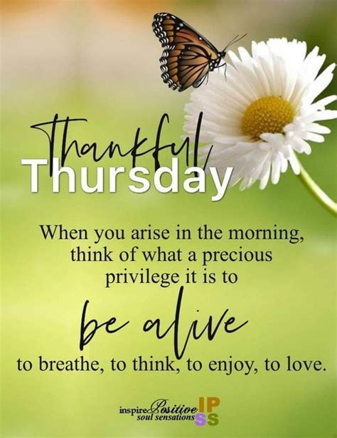 Thankful Thursday | Good morning happy thursday, Happy morning quotes, Thursday quotes