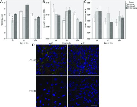 Effects of α synuclein pff incubation for 14 days in vitro on