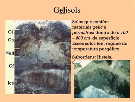 Oi Oa Bgjj Cf Ice Gelisol