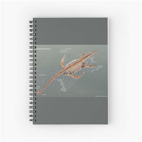 Elasmosaurus Skeleton Study Spiral Notebook For Sale By