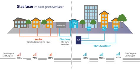 Unsere Leistungen VitrumFiber