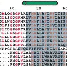 A Multiple Sequence Alignment Of Flavivirus C Proteins Reproduced From