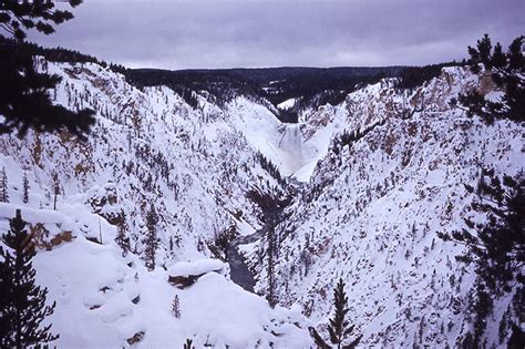 Winter Grand Canyon of the Yellowstone Tour - Yellowstone Tours