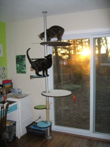 Cat Tree Made From Ikea Stolmen Modern Cat Tree Modern Cat