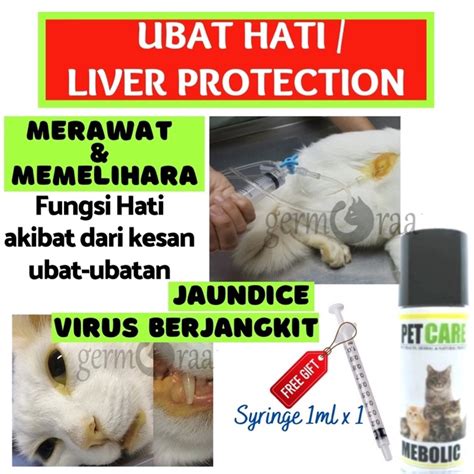 Ubat Hati Kucing Cat Liver Demam Kuning Merawat Hati Kucing Sporo Boost