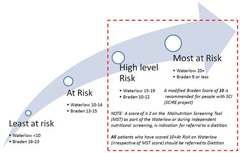 Pressure Injury And Spinal Cord Injury Pressure Injury Toolkit Agency For Clinical Innovation