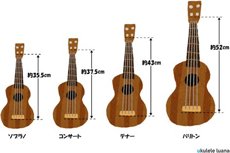 ウクレレの種類：初心者がウクレレを購入するときのおすすめは？ Ukulele Luana（ウクレレ ルアナ）