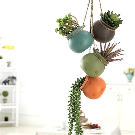 Hanging Succulents Featured Image - Container Water Gardens