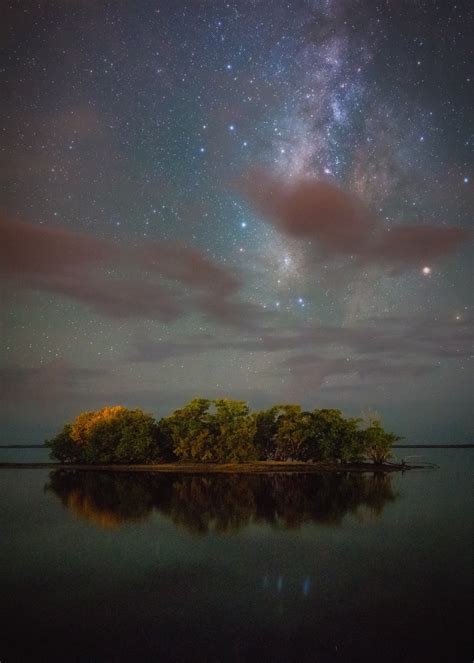 Gulf Coast Visitor Center in Everglades City - Tours and Activities