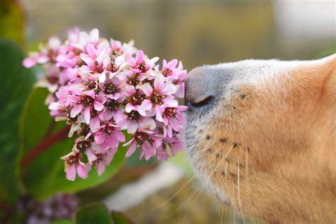 Sex Fire Simple Teknikker Giver Kvinder Mere Nydelse