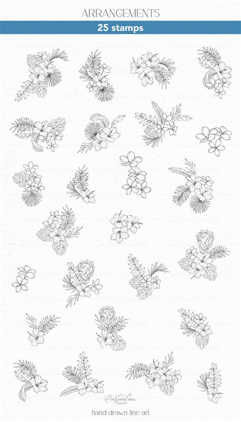 Procreate Flower Stamps Tropical Design Cuts