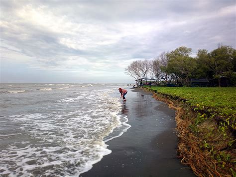 Pantai Muara Gembong Bekasi Tiket Masuk Rute Dan Jam Buka