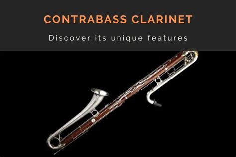 The Contrabass Clarinet (a Comprehensive Guide)