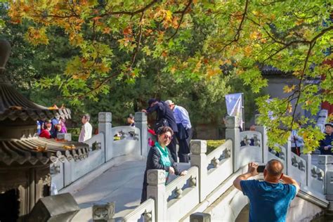 京城秋日红叶节，不可错过的“童话盛景”