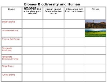 Biomes Biodiversity and Human Impact by NoSlack | TPT