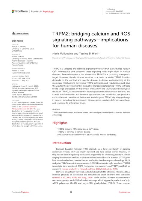 PDF TRPM2 Bridging Calcium And ROS Signaling Pathwaysimplications