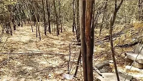 Free Desi Aunty Sex Porn Videos XHamster