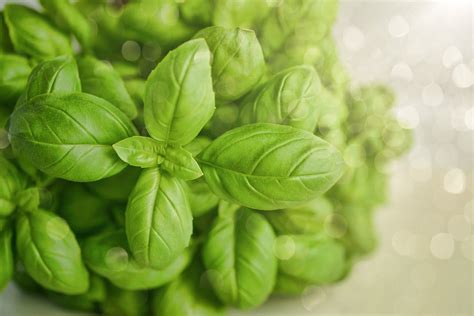 Contenu De Votre Panier De L Gumes Du Au Sept La Ferme De Chosal