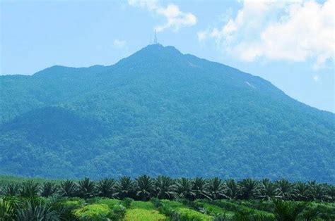 Mount Ledang National Park Muar Malaysia Gokayu Your Travel Guide