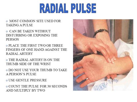 radial pulse - Phlebotomy Career Training