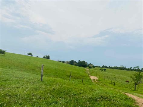 Venta Lote De Terreno En Puerto Triunfo Antioquia