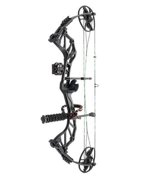 Compound Hunting Bow