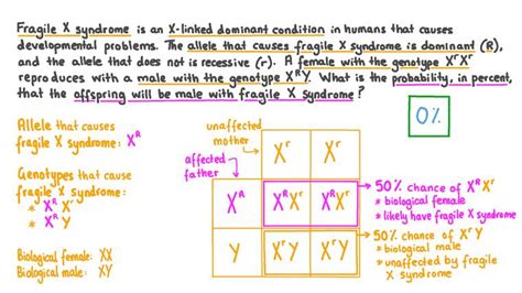 Lesson Sex And Autosomal Linkage Nagwa