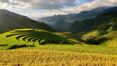 Free Stock Photo Of Asia Farm Farmer