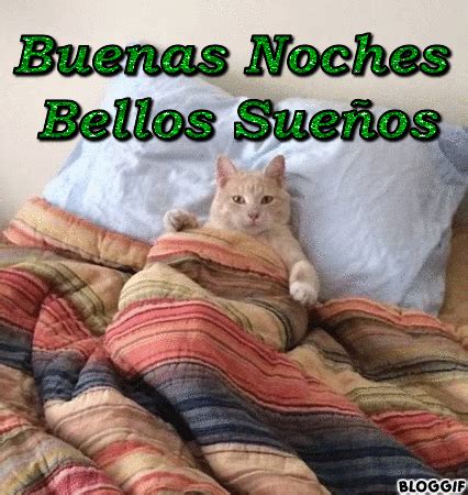 imagenes buenas noches gatitos tiernos durmiendo dulces sueños