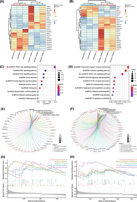 Enrichment Analysis Of The Differentially Expressed Genes Involved In