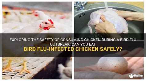 Exploring The Safety Of Consuming Chicken During A Bird Flu Outbreak